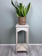 Tafel - Pidestal, Plantentafel wit geschilderd - Hout