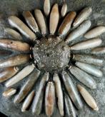 Enorme fossiele zeester van hoge kwaliteit!!! - Schelp met