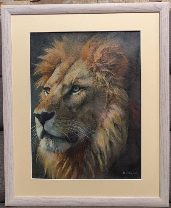 Davor Ivkovi (1965) - Lion, Antiek en Kunst, Kunst | Schilderijen | Klassiek