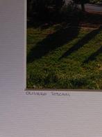 Oliviero Toscani (1942-) - L´Allure Val D´Orcia