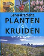 Geneeskrachtige planten en kruiden 9781407523972, Zo goed als nieuw, En Lohmeyer Kunkele, Till Lohmeyer, Verzenden