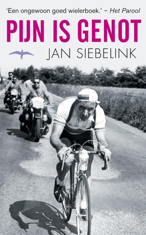 Pijn is genot 9789060059968 Jan Siebelink, Boeken, Literatuur, Zo goed als nieuw, Verzenden