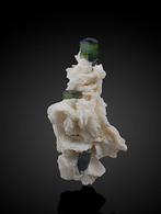 Groene dop tourmaline op Clevelandiet mica Exemplaar -