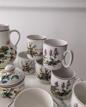 Villeroy & Boch - Service à café (28) - Botanica -