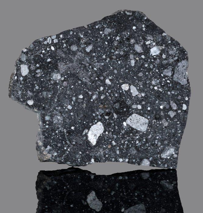 Meteoor lunair NWA 17679 Plak - 12.46 g - (1), Verzamelen, Mineralen en Fossielen