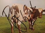 Pink Floyd - LP Atom Heart Mother - Jaquette signée en, Nieuw in verpakking
