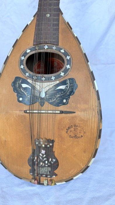 Mario Casella - - Mandoline - Italië (Zonder minimumprijs), Muziek en Instrumenten, Blaasinstrumenten | Blokfluiten