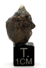 Météorite lunaire Touat 008, météorite de breccia fondue, Collections