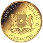 Somalie. 20 Shilling 2025 Somalia Leopard 0,5 Gramm