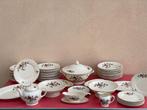 Laveno - Richard Ginori - Andloviz - Tafelservies voor 12