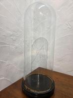 Globe - stolp - antiek - 1901-1920 - Grande cloche ronde