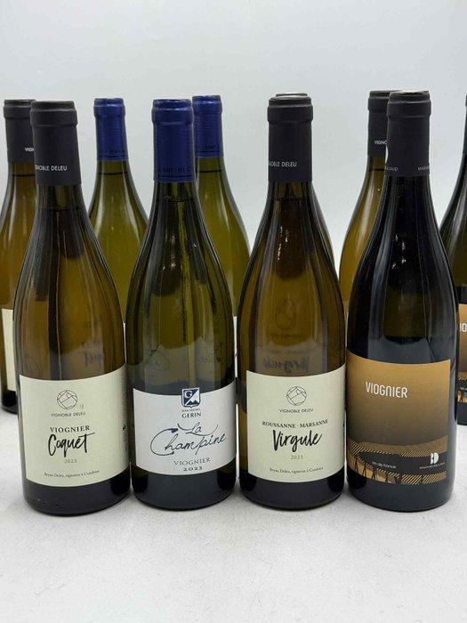 2024 Viognier Bruyere David - Gerin La Champine Viognier, Verzamelen, Wijnen