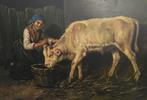 E. Cerrone (XX) - Il vitello bianco