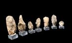 - Diorama Neolithic Axes polished at different stages of