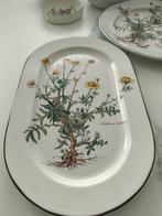 Villeroy & Boch - Tafelservies (22) - Botanica - Porselein, Antiek en Kunst