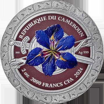 Kameroen. 2000 Francs 2024 Sarmatian Femina Bellator 2 oz beschikbaar voor biedingen