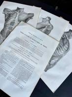 Lesmateriaal (3) - Nicolas-Henri Jacob & Jean Baptiste Marc