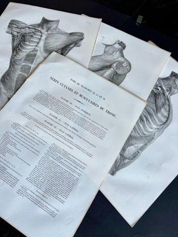 Lesmateriaal (3) - Nicolas-Henri Jacob & Jean Baptiste Marc