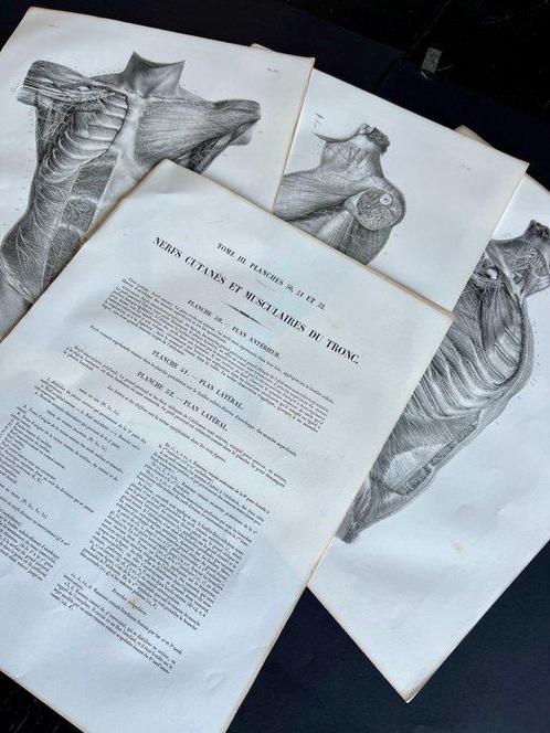 Lesmateriaal (3) - Nicolas-Henri Jacob & Jean Baptiste Marc, Antiek en Kunst, Antiek | Wandborden en Tegels