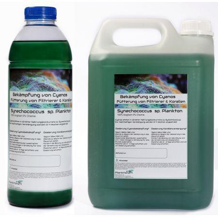 Plankton24 - Synechococcus (tegen cyaanafzettingen) 5 Liter, Animaux & Accessoires, Poissons | Aquariums & Accessoires, Envoi