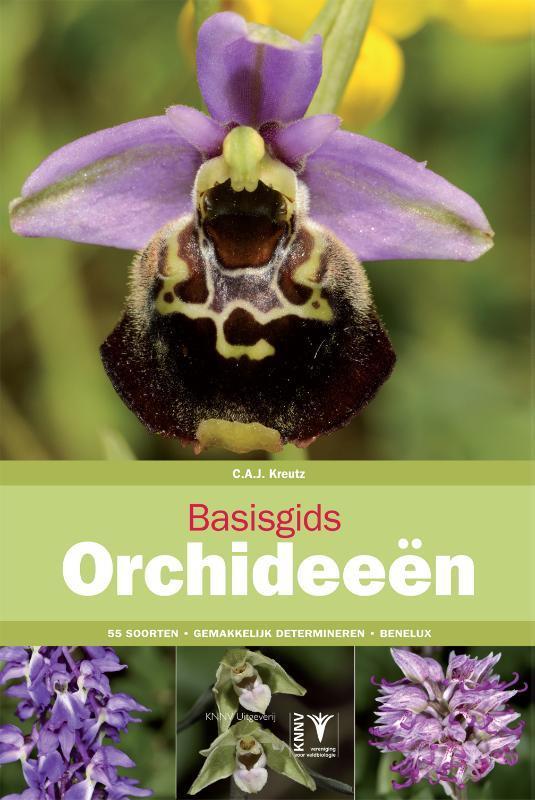 Basisgids orchideeën / Basisgids / 4 9789050116015, Boeken, Hobby en Vrije tijd, Zo goed als nieuw, Verzenden