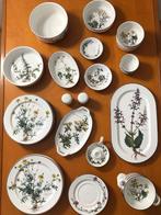 Villeroy & Boch - Service de dîner (35) - Botanica -, Antiek en Kunst