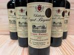 2022 Chateau Capet-Bégaud - Canon-Fronsac - 6 Flessen (0.75, Verzamelen, Nieuw
