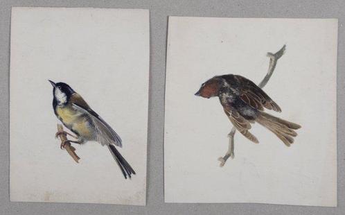 Alexandre Guelle - Oiseaux #1, Antiek en Kunst, Kunst | Designobjecten