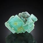 Zeer zeldzaam! OUDE VONDST Turquoise Groene FLUORITE uit