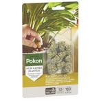 Kamerplanten voeding | Pokon | 10 stuks (Kegels), Tuin en Terras, Plantenvoeding, Verzenden, Nieuw