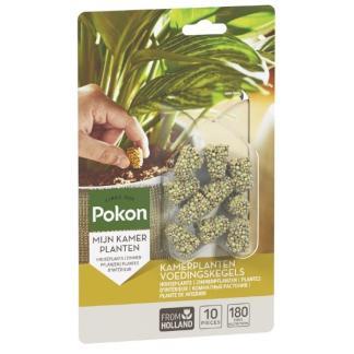 Kamerplanten voeding | Pokon | 10 stuks (Kegels), Tuin en Terras, Plantenvoeding, Verzenden