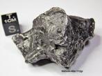 Meteoriet Sikhote-Alin - 112 gr IJzer meteoriet - Hoogte: 50, Verzamelen, Mineralen en Fossielen