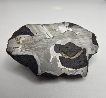 Pallasiet meteoriet, NWA 16774. Geen minimumprijs. - 24.35 g