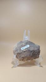 Paleolithisch Prehistorische stenen kern / hamersteen