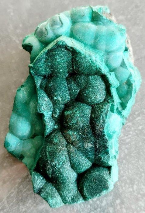 Malachite en copert - forme botryoïdale, structure, Collections, Minéraux & Fossiles