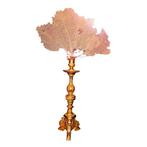 Kaarsenhouder (2) - Hout - Paar houten kandelaars