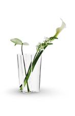 Iittala - Alvar Aalto - Vaas - H 25.1 cm Savoy Clear XL -