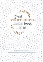 Groot voornamenboek 2016 9789491874055 Femke van Werkhoven, Verzenden, Femke van Werkhoven