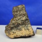 NIEUWS! NWA 17283 (Sahara, 2020). Meteoor CHONDRIET LL4-5., Verzamelen, Mineralen en Fossielen