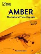 Amber: The Natural Time Capsule 9780565092580 Andrew Ross, Livres, Verzenden, Andrew Ross