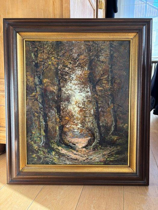 Belgische School (XX) - P. Franks - Boszicht, Antiquités & Art, Art | Peinture | Classique