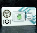 Paraiba toermalijn - 3.34 ct - International Gemological, Nieuw