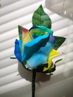 Zijderoos grote regenboog roos 54cm velvet touch single, Nieuw