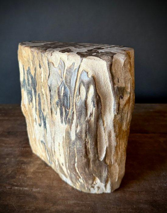 Gefossiliseerd hout - Dipterocarpus sp. - 22 cm - 19 cm, Verzamelen, Mineralen en Fossielen