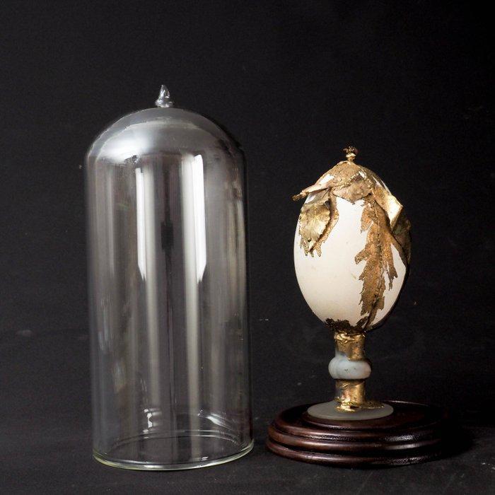 Decoratief ornament - onder glazen stolp - Goudgepatineerd, Antiek en Kunst, Curiosa en Brocante