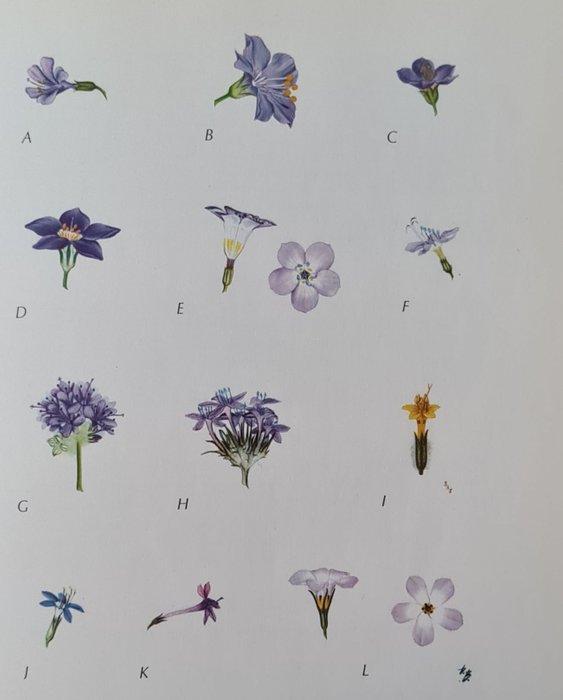 R J Gardner, Ellison Hawks, T Wallace e.a. - Pollination in, Antiek en Kunst, Antiek | Boeken en Manuscripten