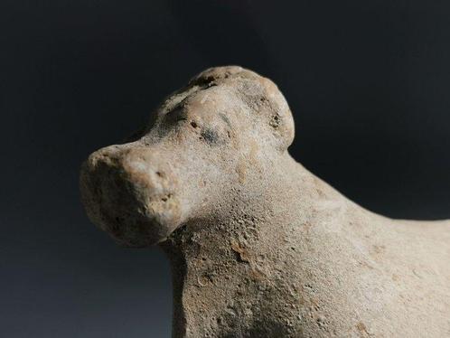 Tang-dynastie - Ceramische Rode Paard - Gebroken maar Echt -, Antiek en Kunst, Antiek | Overige Antiek