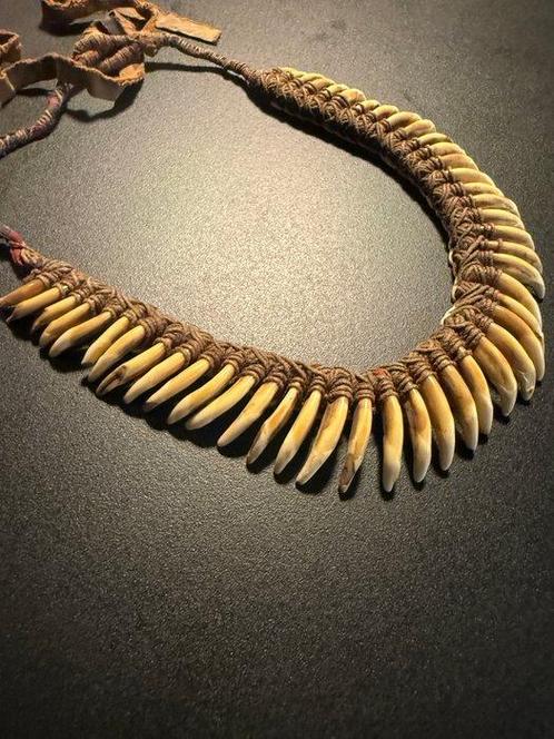 Choker en honden tand - Asmat - West-Papoea, Antiek en Kunst, Kunst | Niet-Westerse kunst