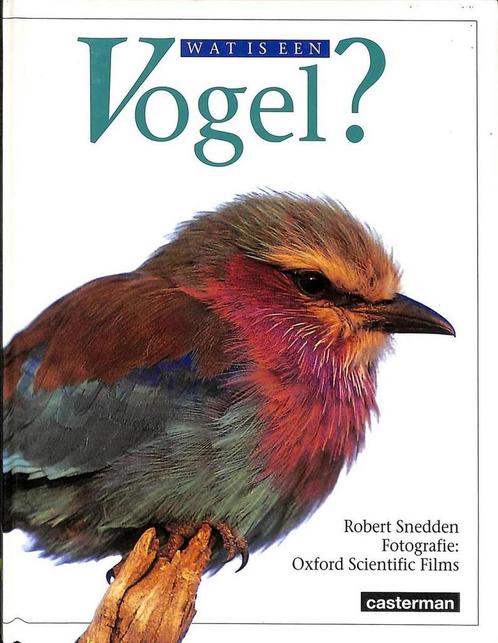 Wat is een vogel? / Wat is een... 9789030349501, Livres, Livres pour enfants | Jeunesse | 13 ans et plus, Envoi