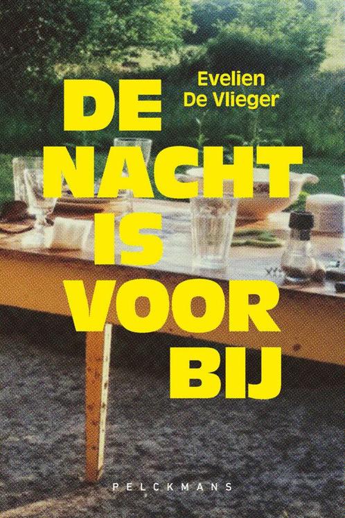 De nacht is voorbij 9789464342765 Evelien De Vlieger, Boeken, Romans, Zo goed als nieuw, Verzenden